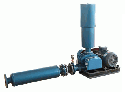 WDsR型三葉羅茨鼓風(fēng)機(jī)